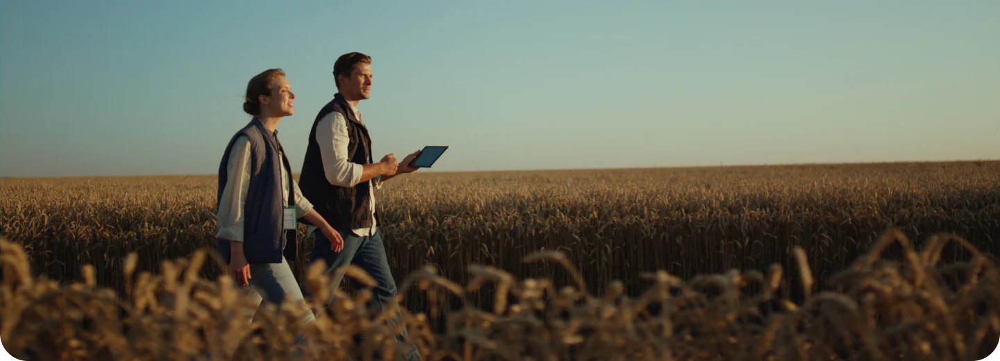 Agricultural specialists walking through a wheat field