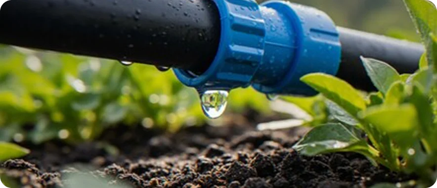 Climate Resilience