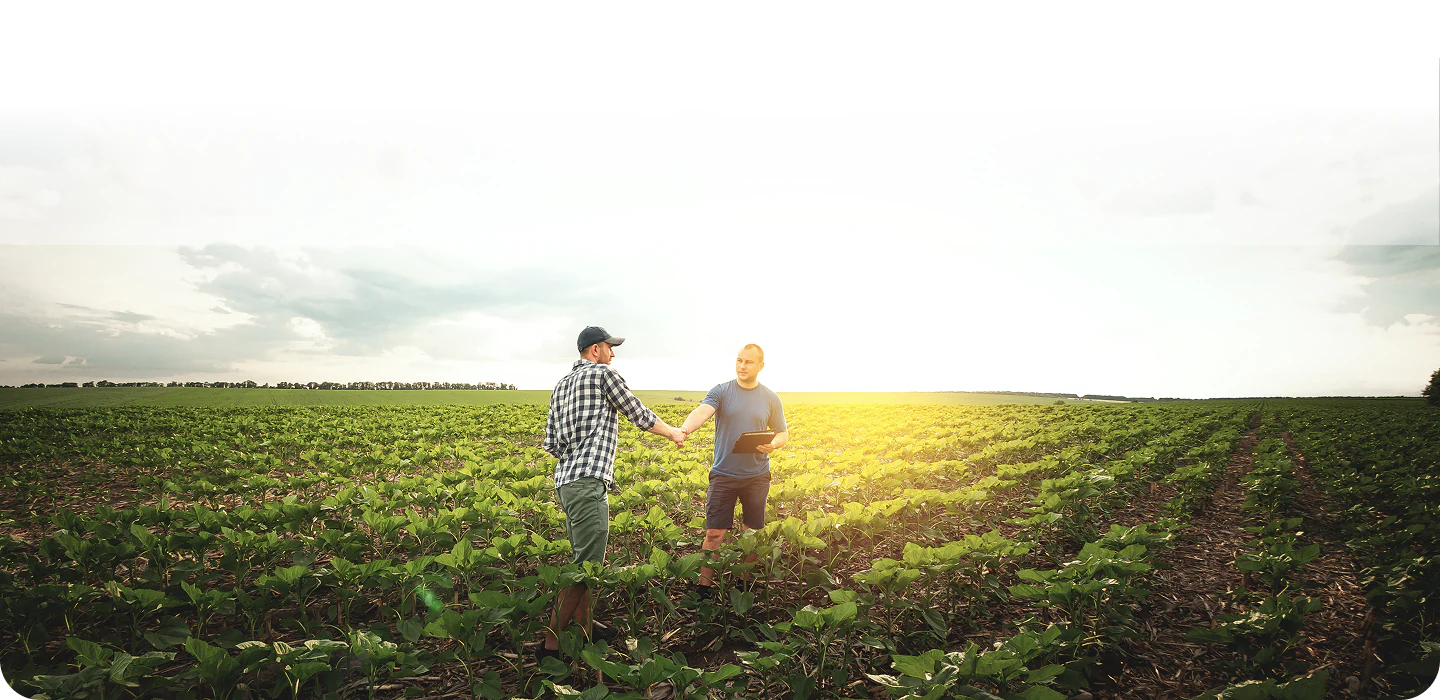 Farmers shaking hands in a field