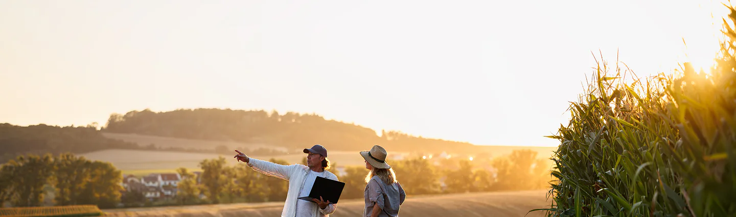 Farmers reviewing plans in a field at sunset