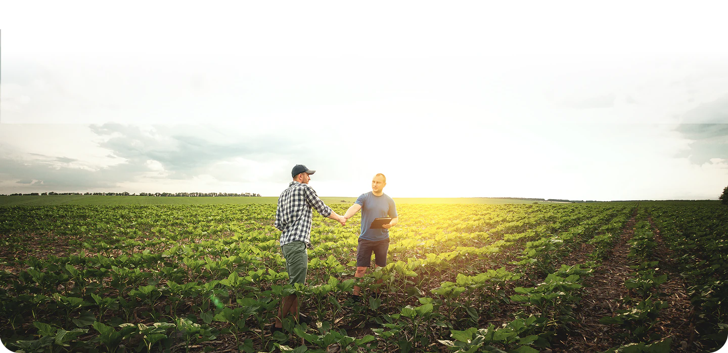 Farmers shaking hands in a field